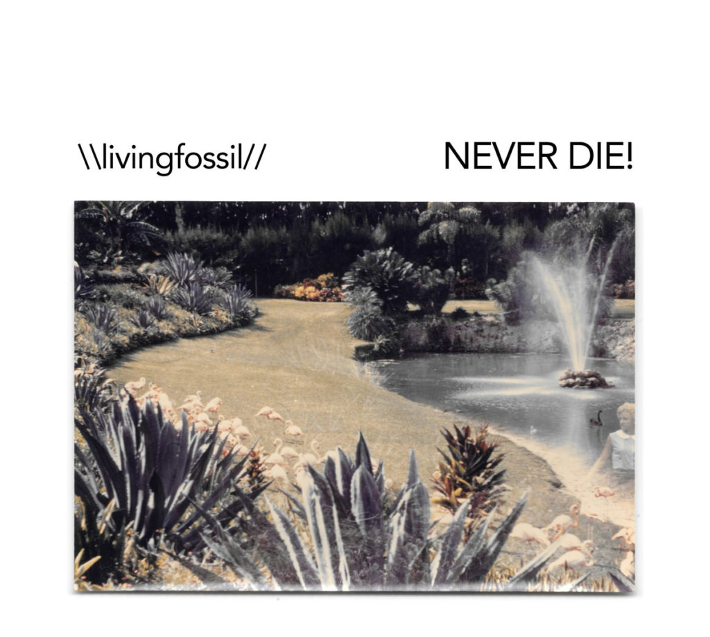 livingfossil