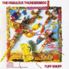 Reissue Tuesday : The Fabulous Thuderbirds | Tuff Enuff (1986)